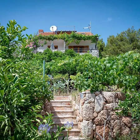 Homestay Kokic